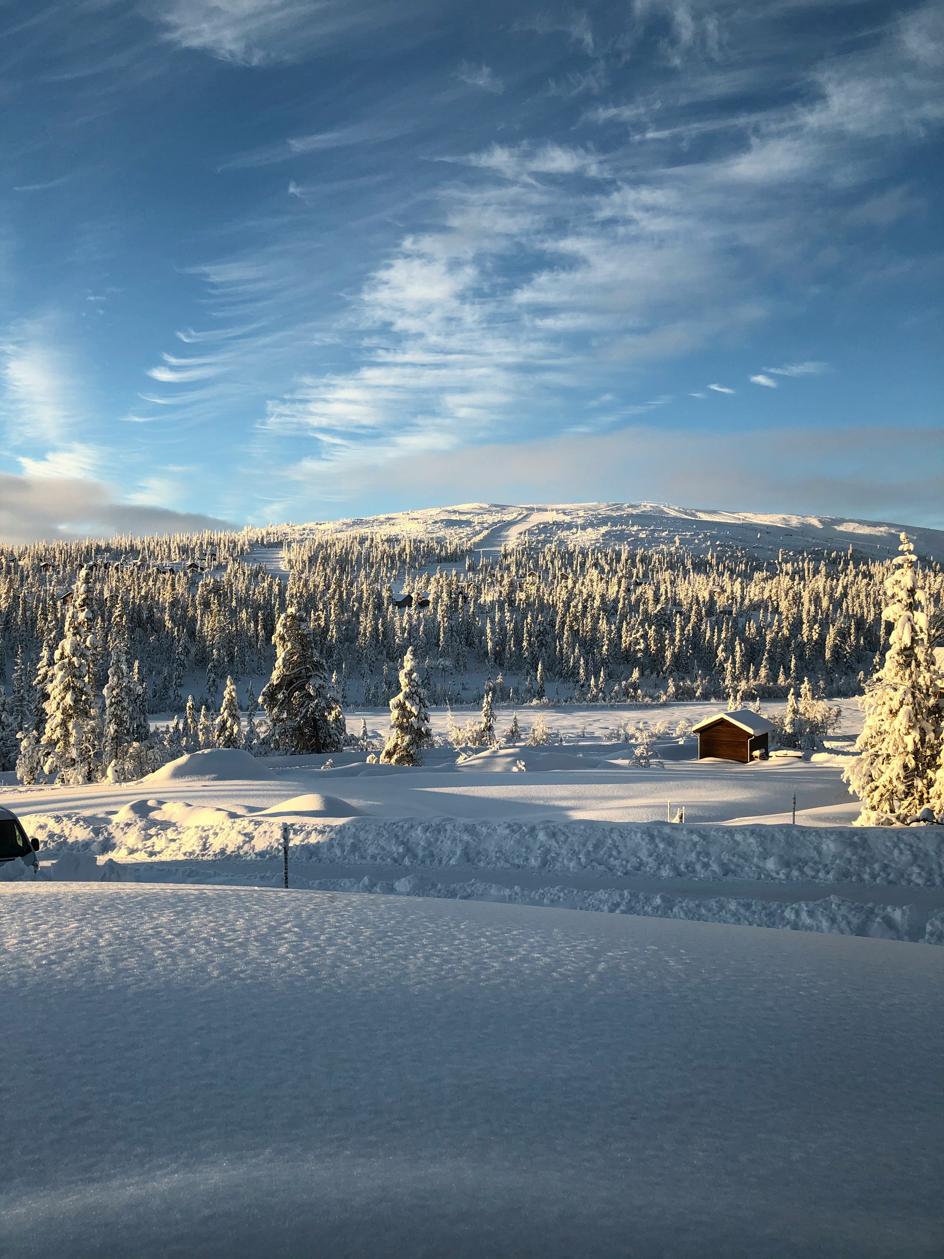 Fjällen i Vemdalen och Härjedalen
